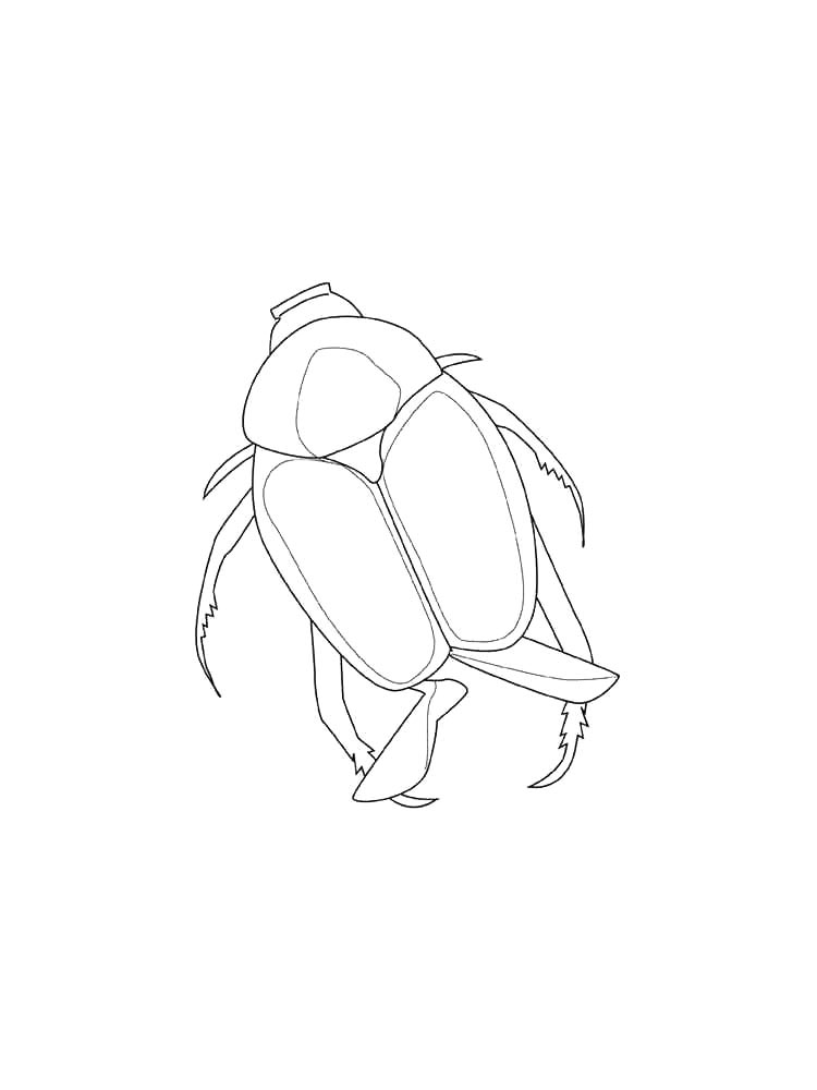 Beetles coloring pages