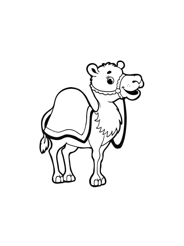 Camel coloring pages