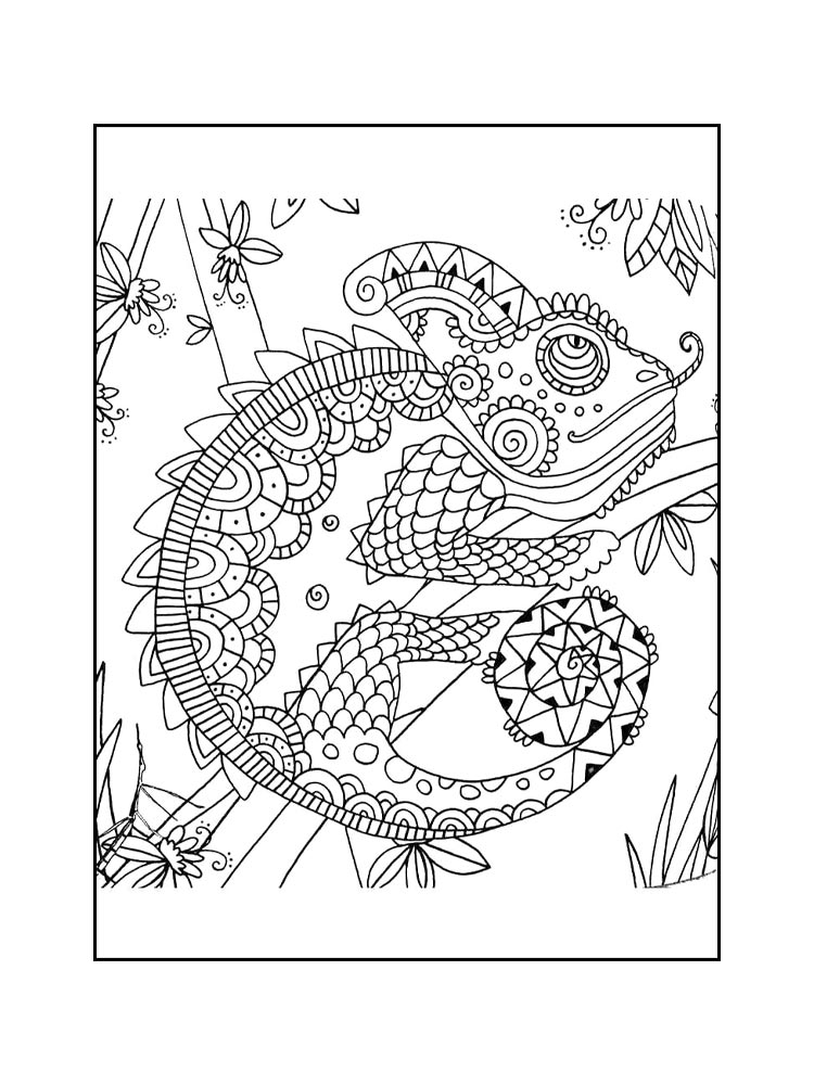 Chameleon coloring pages