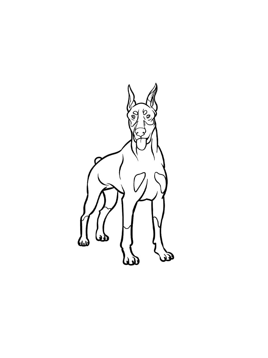 Doberman coloring pages