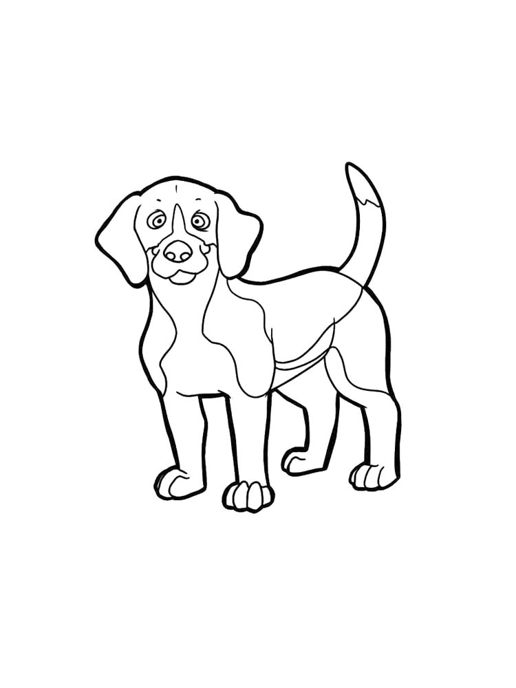 Dogs coloring pages