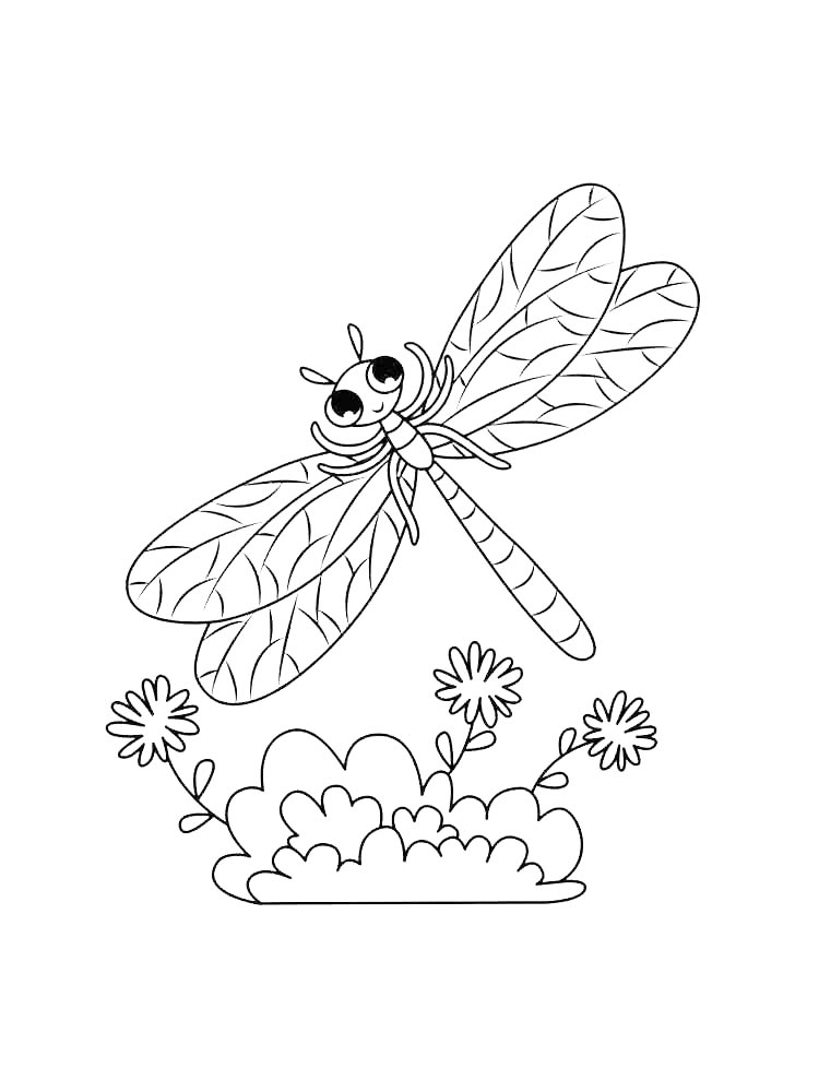 Dragonfly coloring pages