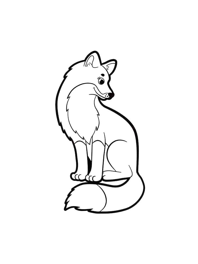 Fox coloring pages