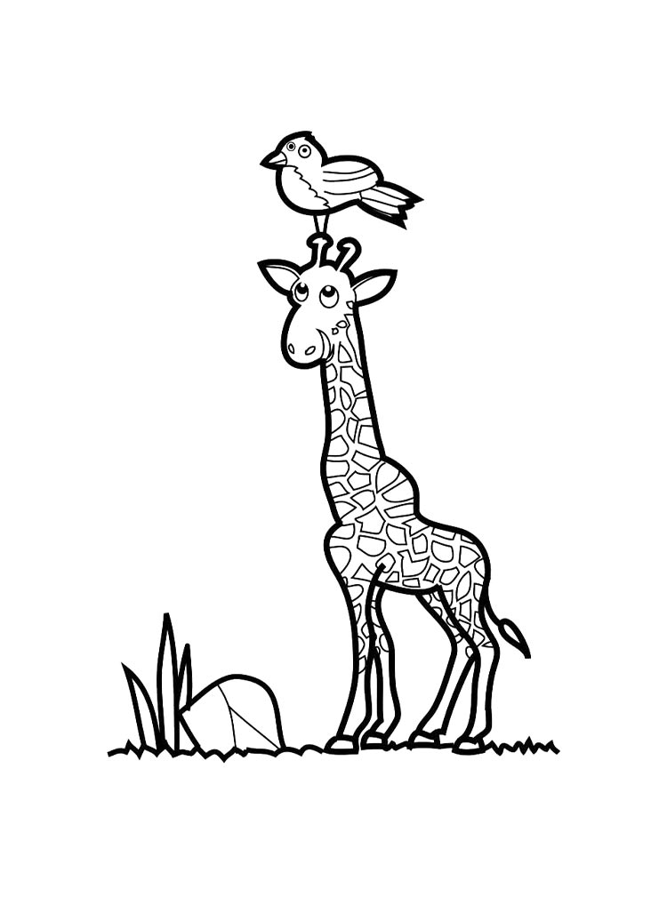 Giraffe coloring pages