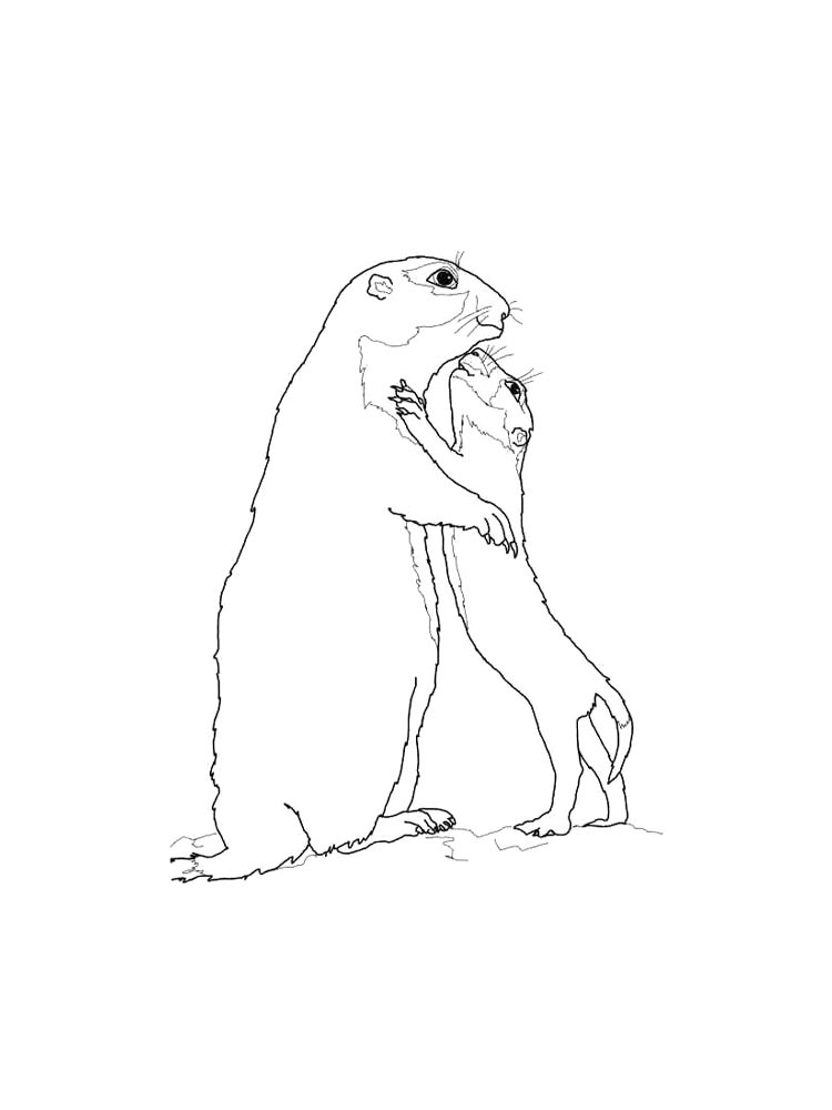 Gopher coloring pages