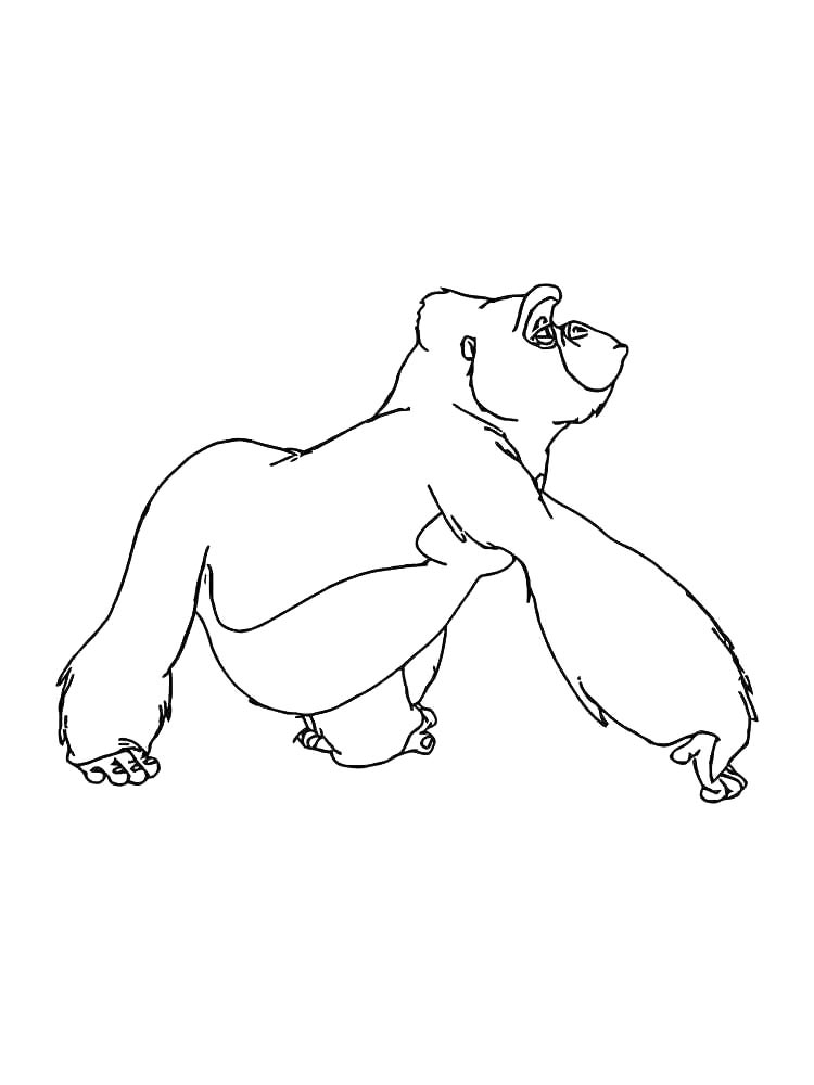 Gorilla coloring pages