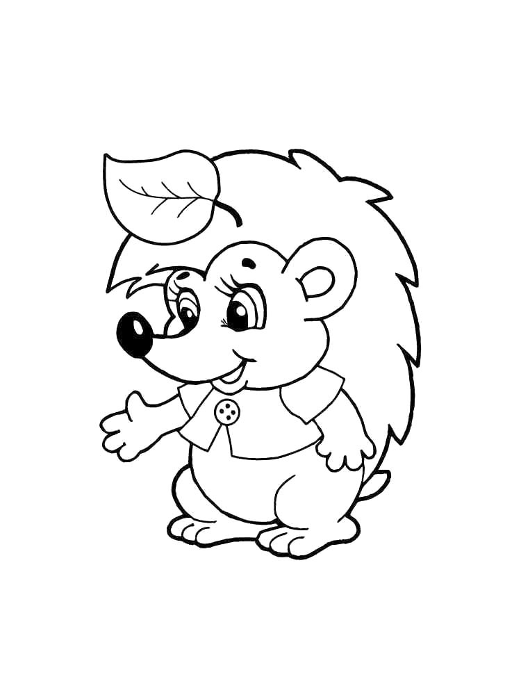 Hedgehog coloring pages