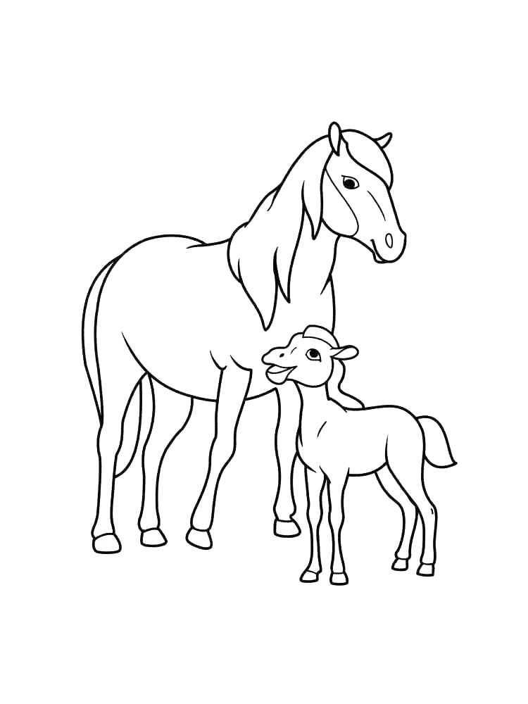 Horses coloring pages