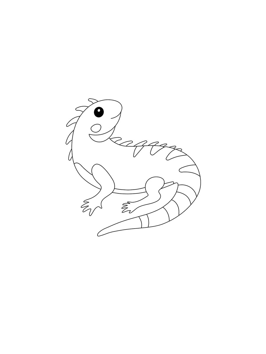 Iguana coloring pages