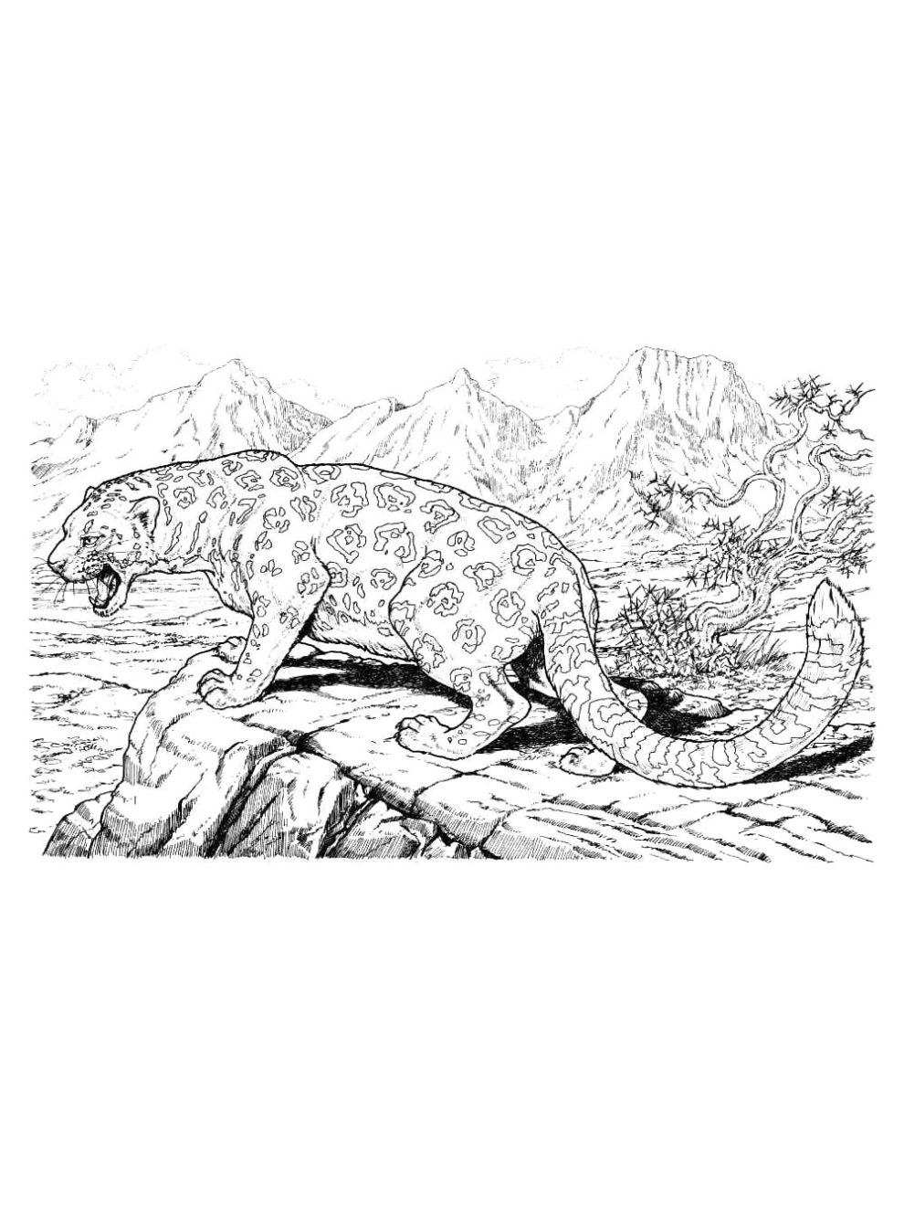 Jaguar coloring pages