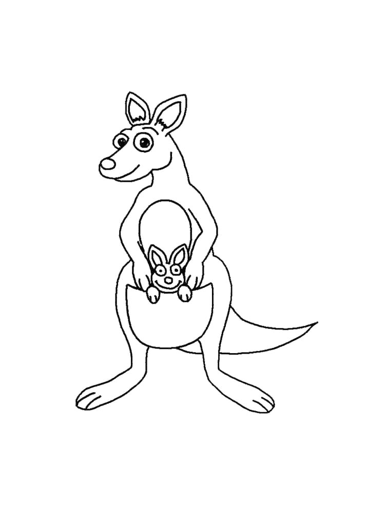 Kangaroo coloring pages