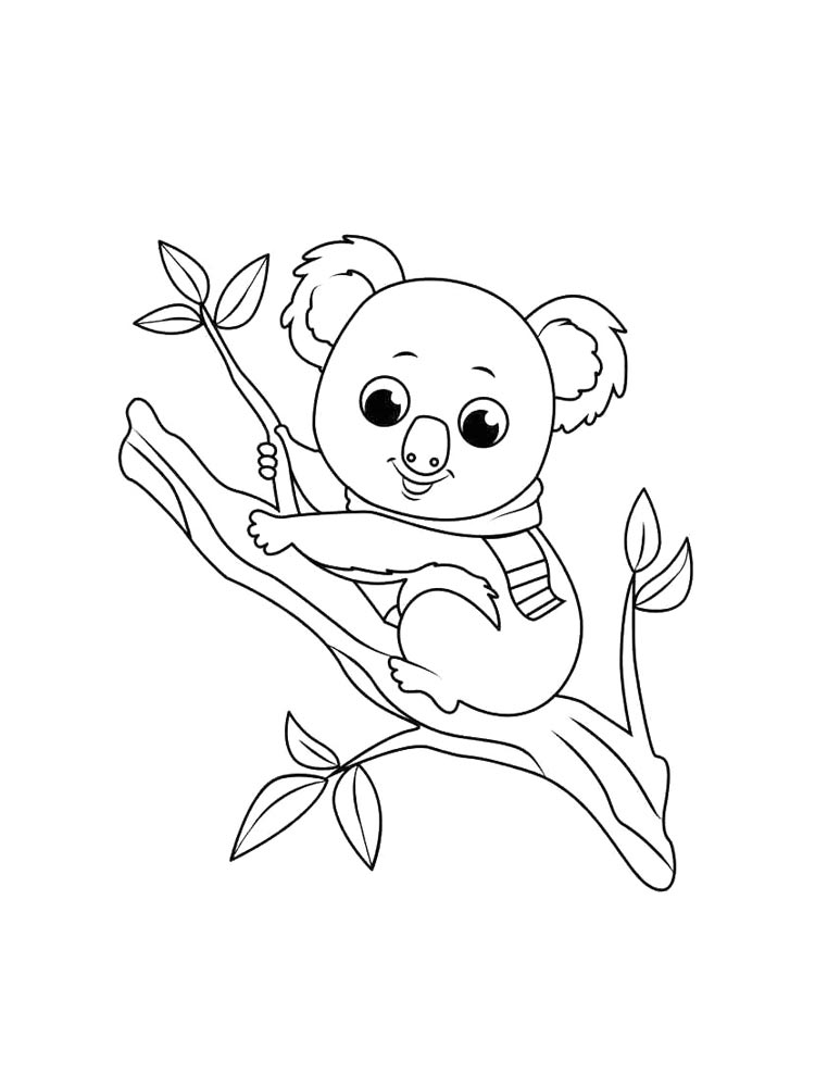 Koala coloring pages