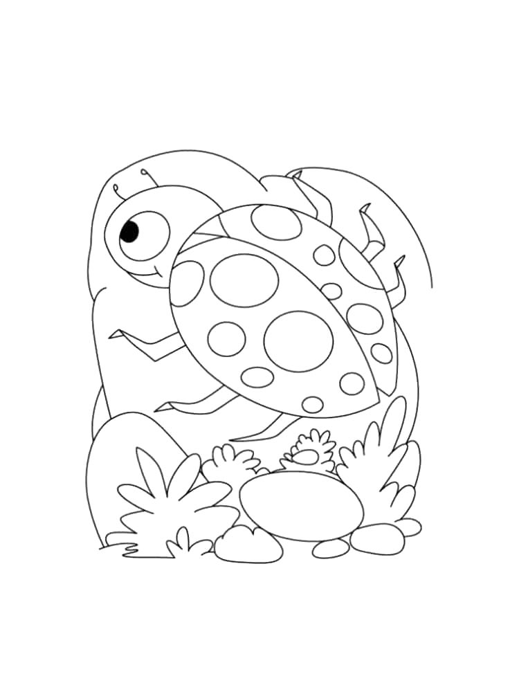 Ladybug coloring pages