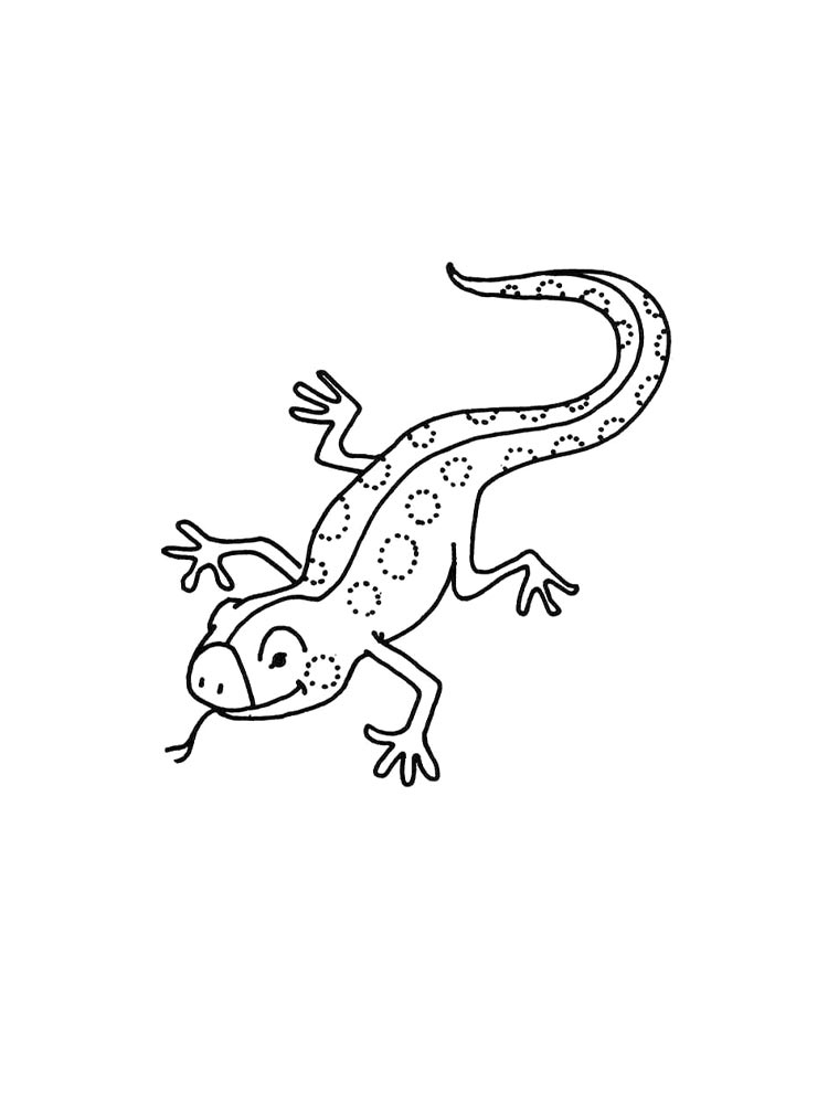 Lizard coloring pages