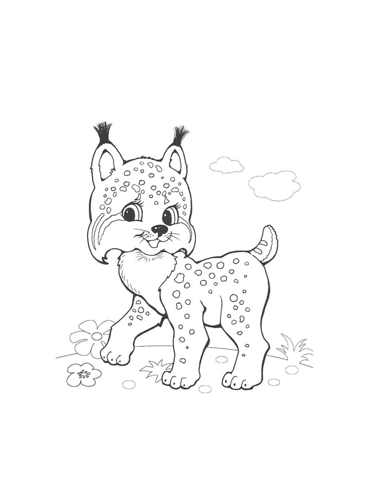 Lynx coloring pages