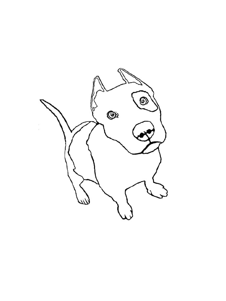 Pitbull coloring pages