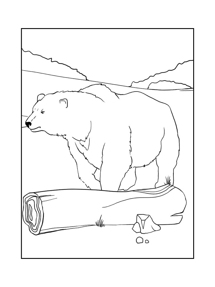 Polar Bear coloring pages