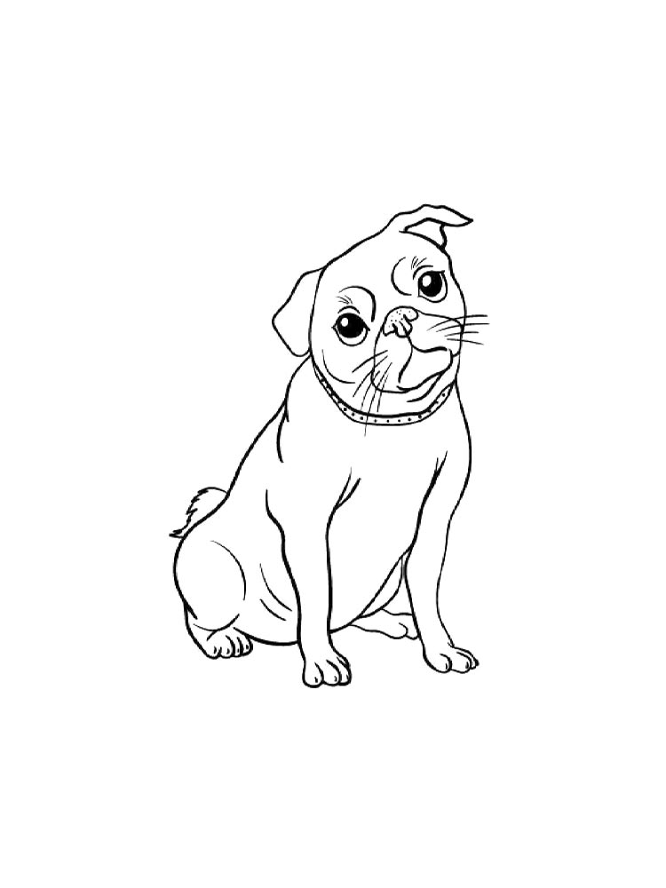 Pug coloring pages