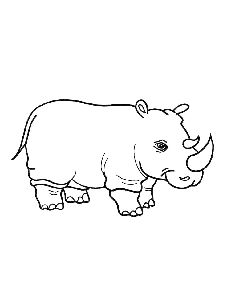 Rhino coloring pages