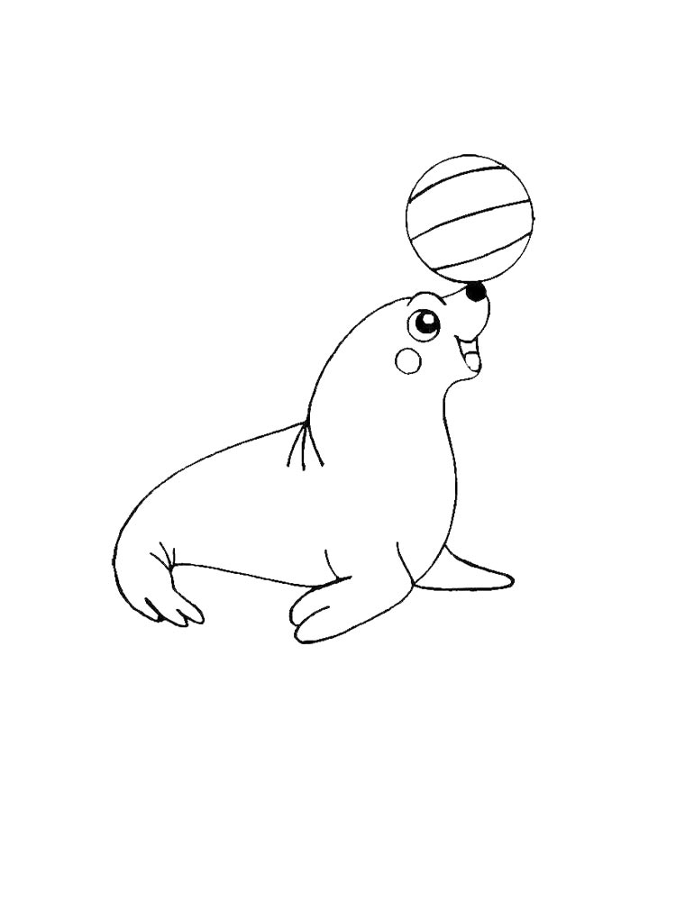 Seal coloring pages