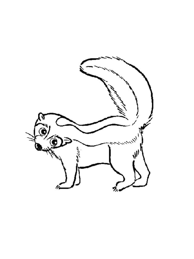 Skunk coloring pages