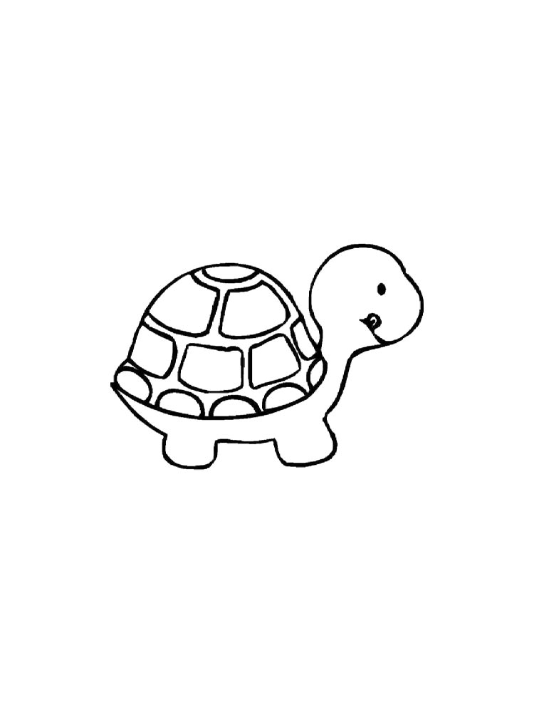 Tortoise coloring pages