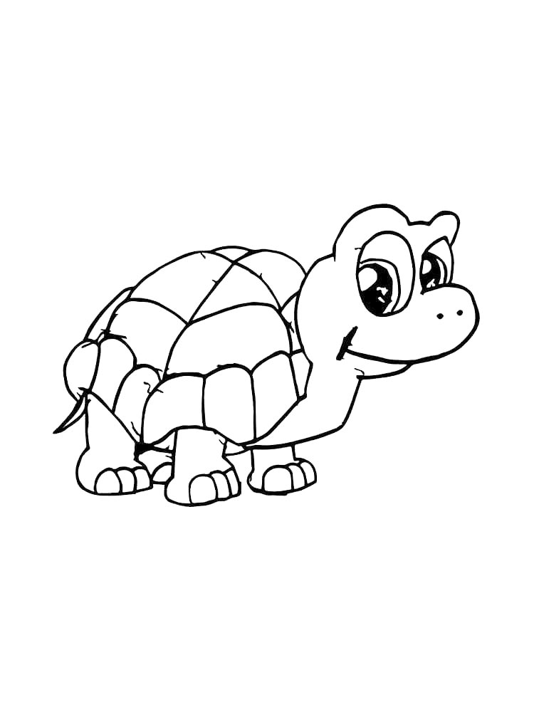 Turtles coloring pages