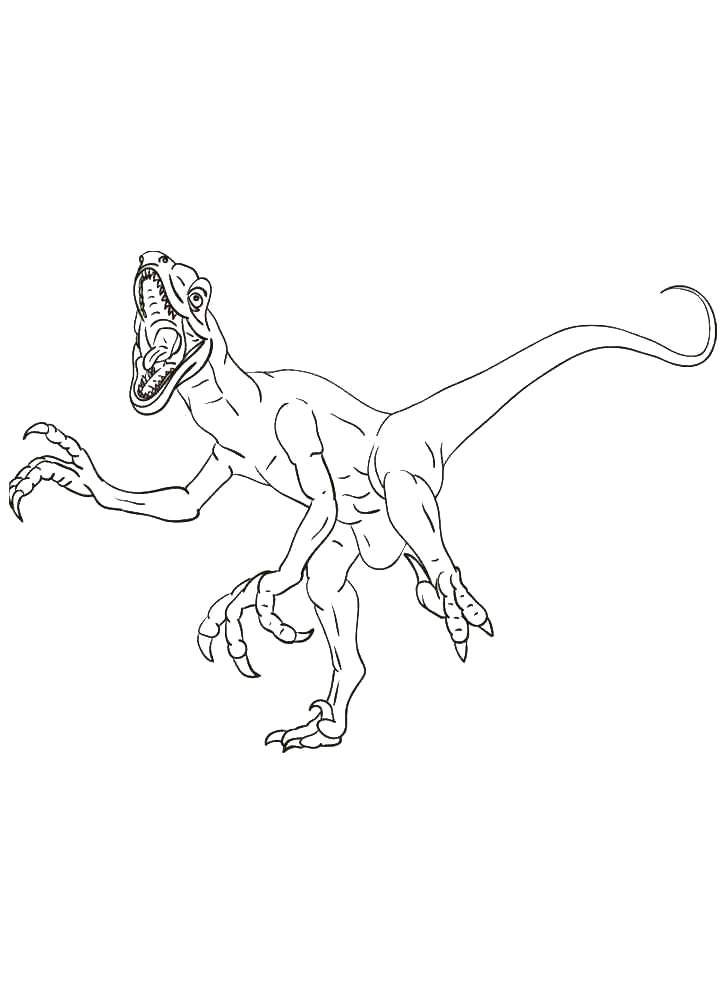 Velociraptor coloring pages