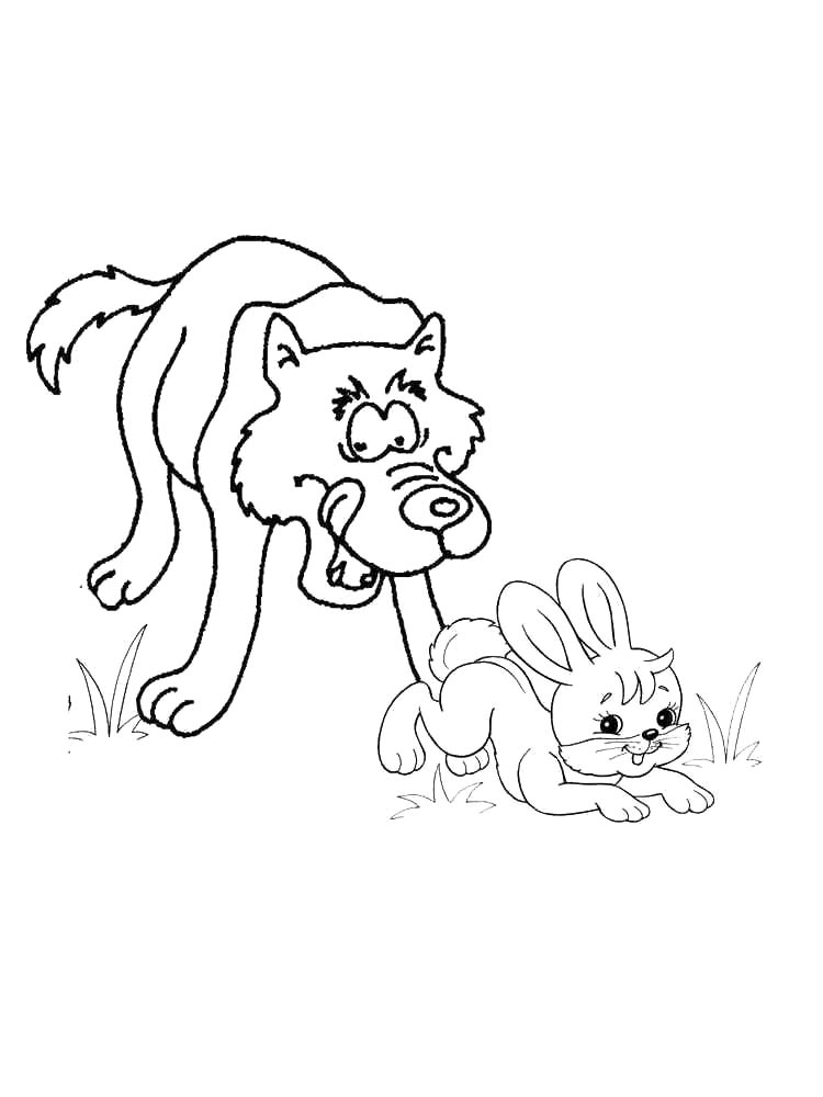 Wolf coloring pages