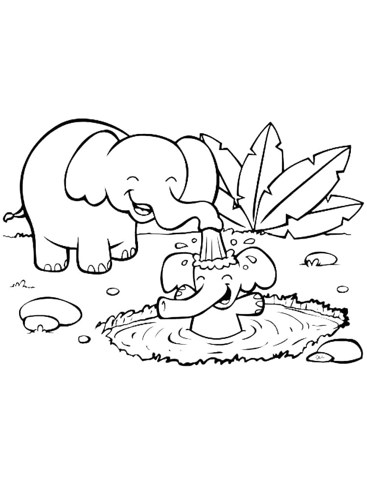 African Animals coloring pages