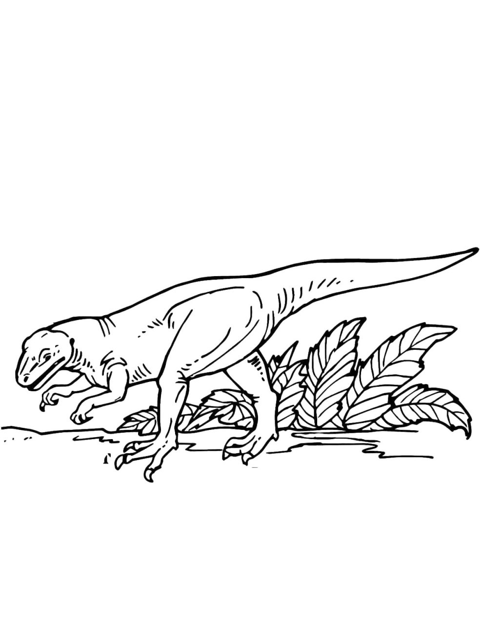 Allosaurus coloring pages