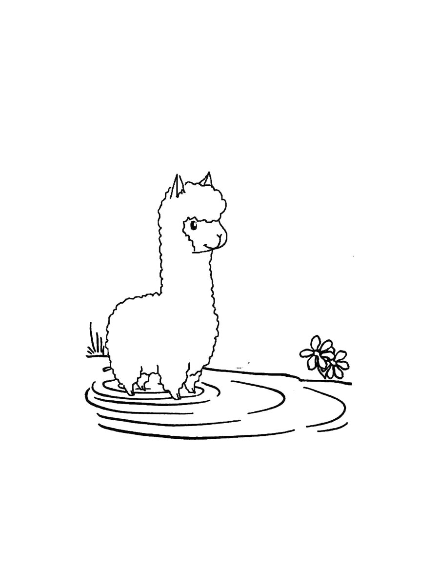 Alpaca coloring pages