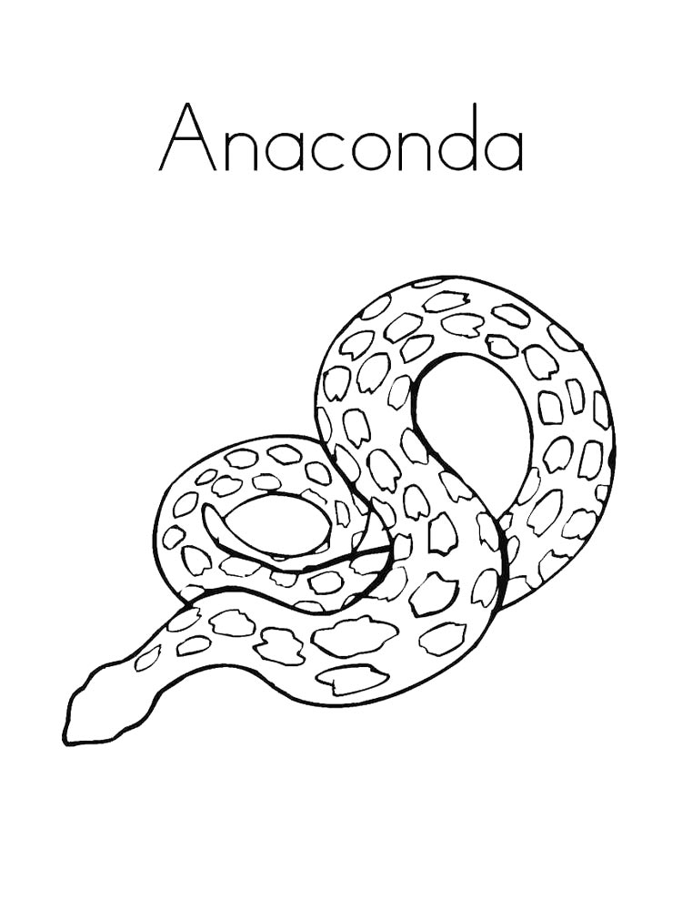 Anaconda coloring pages