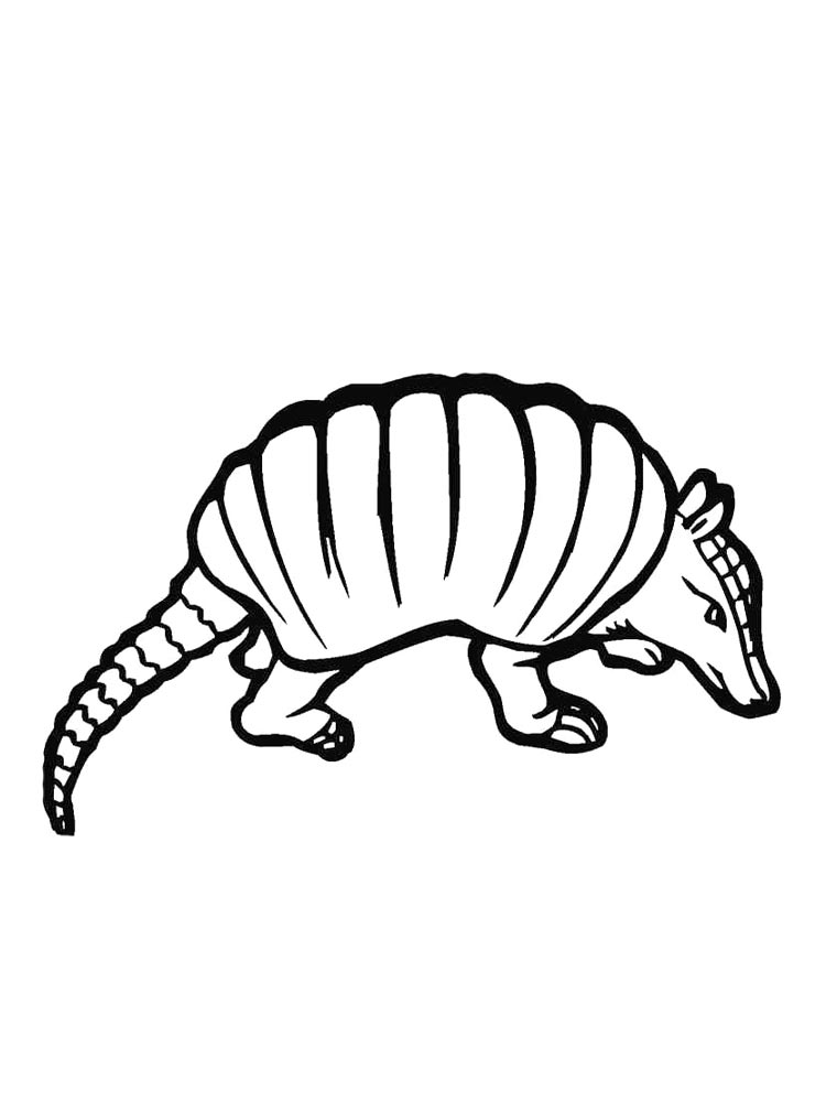 Armadillos coloring pages