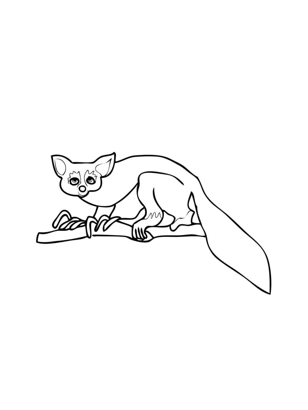 Aye Aye coloring pages