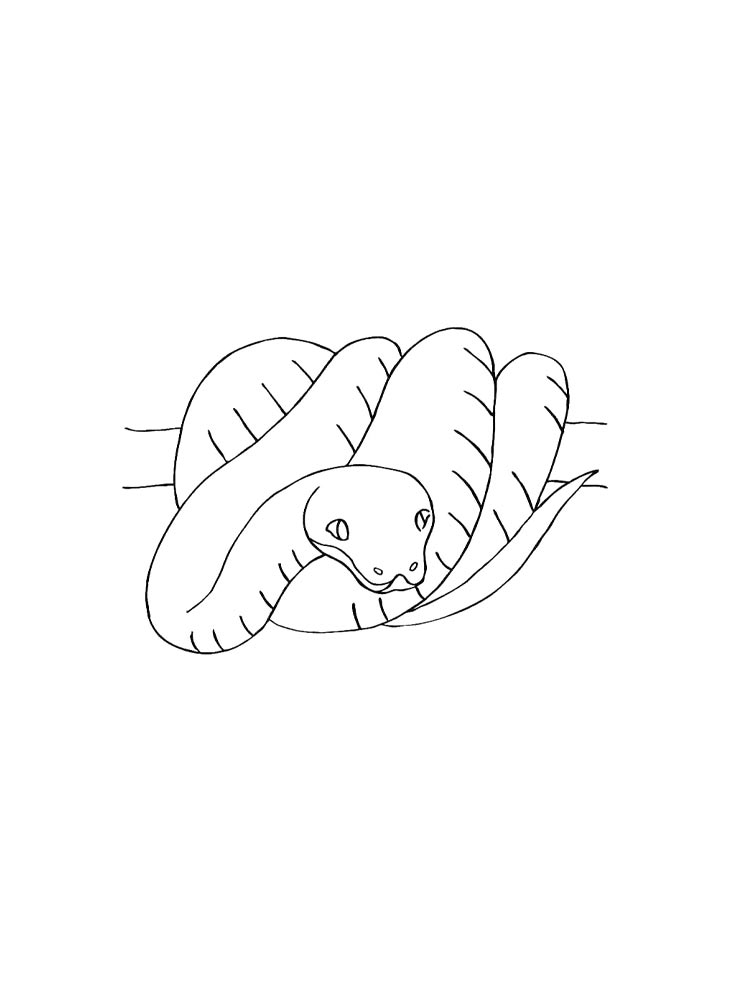 Boa constrictor coloring pages