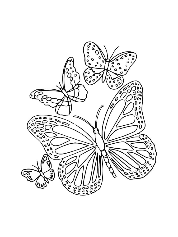 Butterfly coloring pages