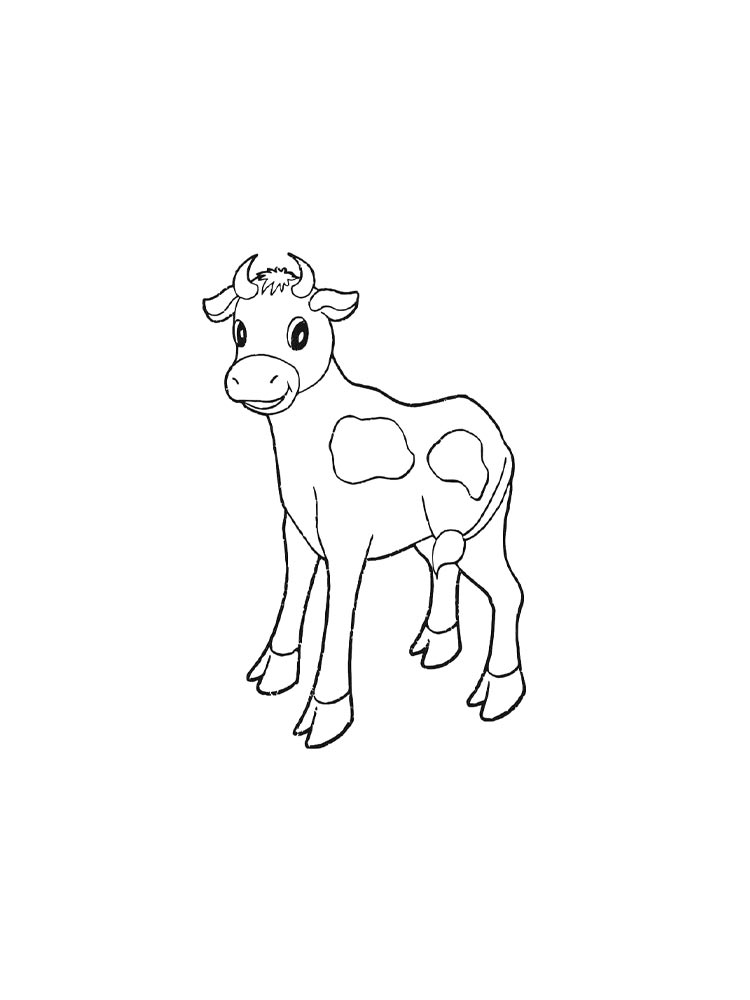 Calf coloring pages