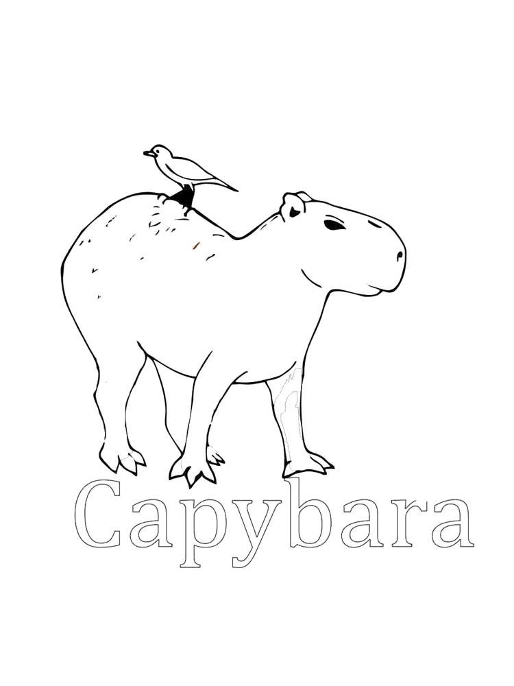 Capybara coloring pages