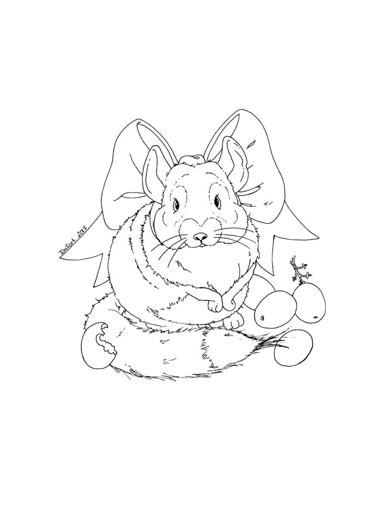 Chinchilla coloring pages