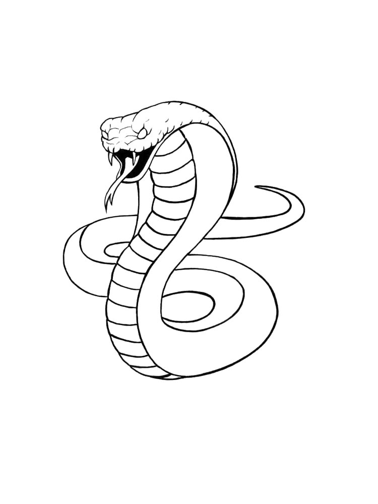 Cobra coloring pages