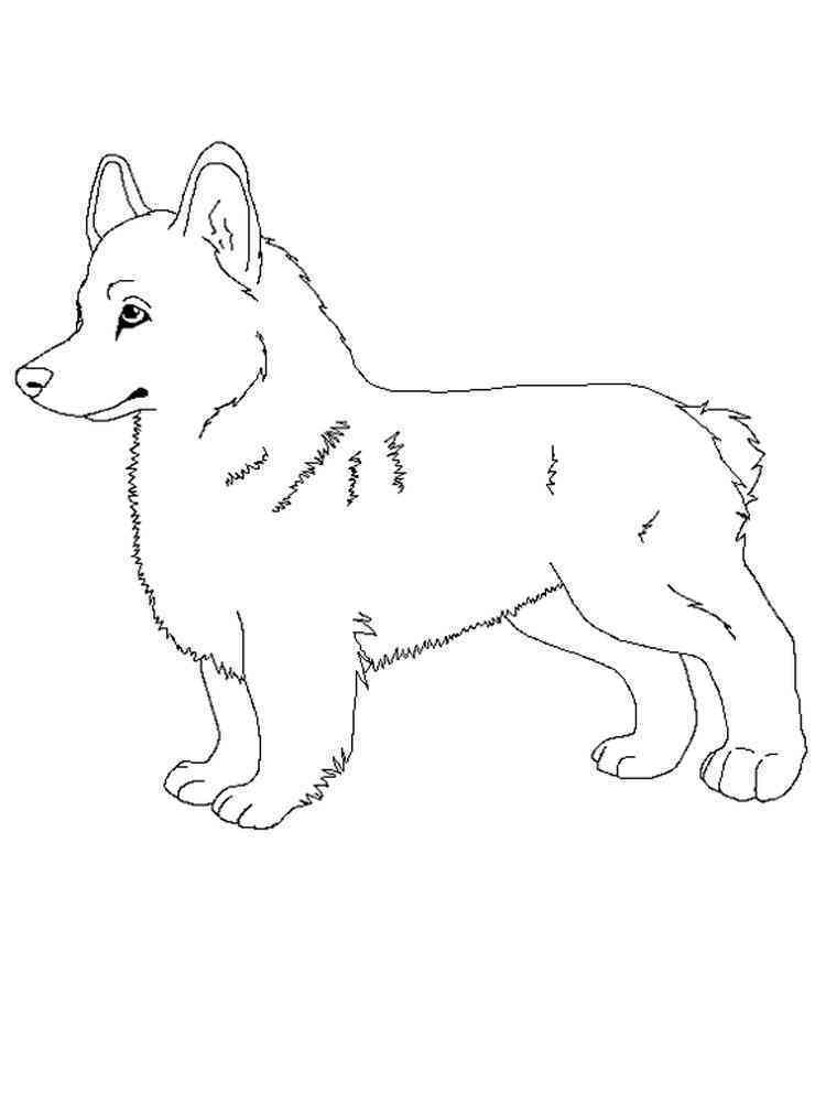 Corgi coloring pages