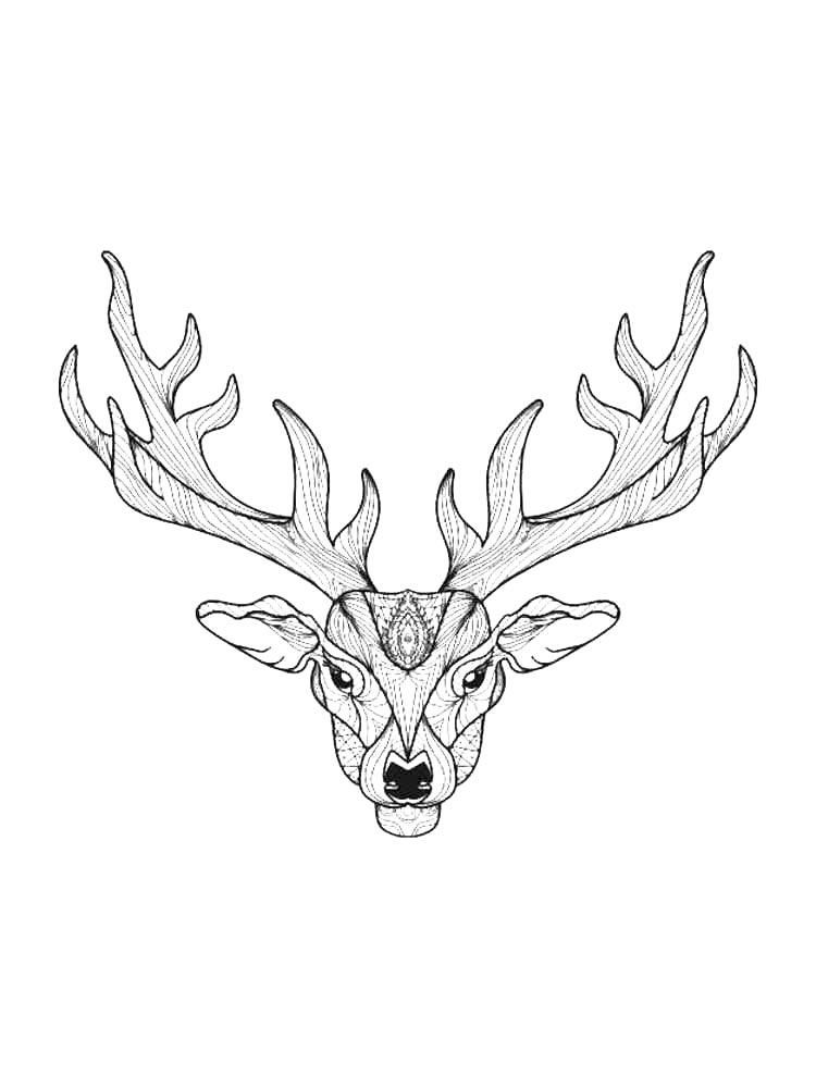 Deer head coloring pages