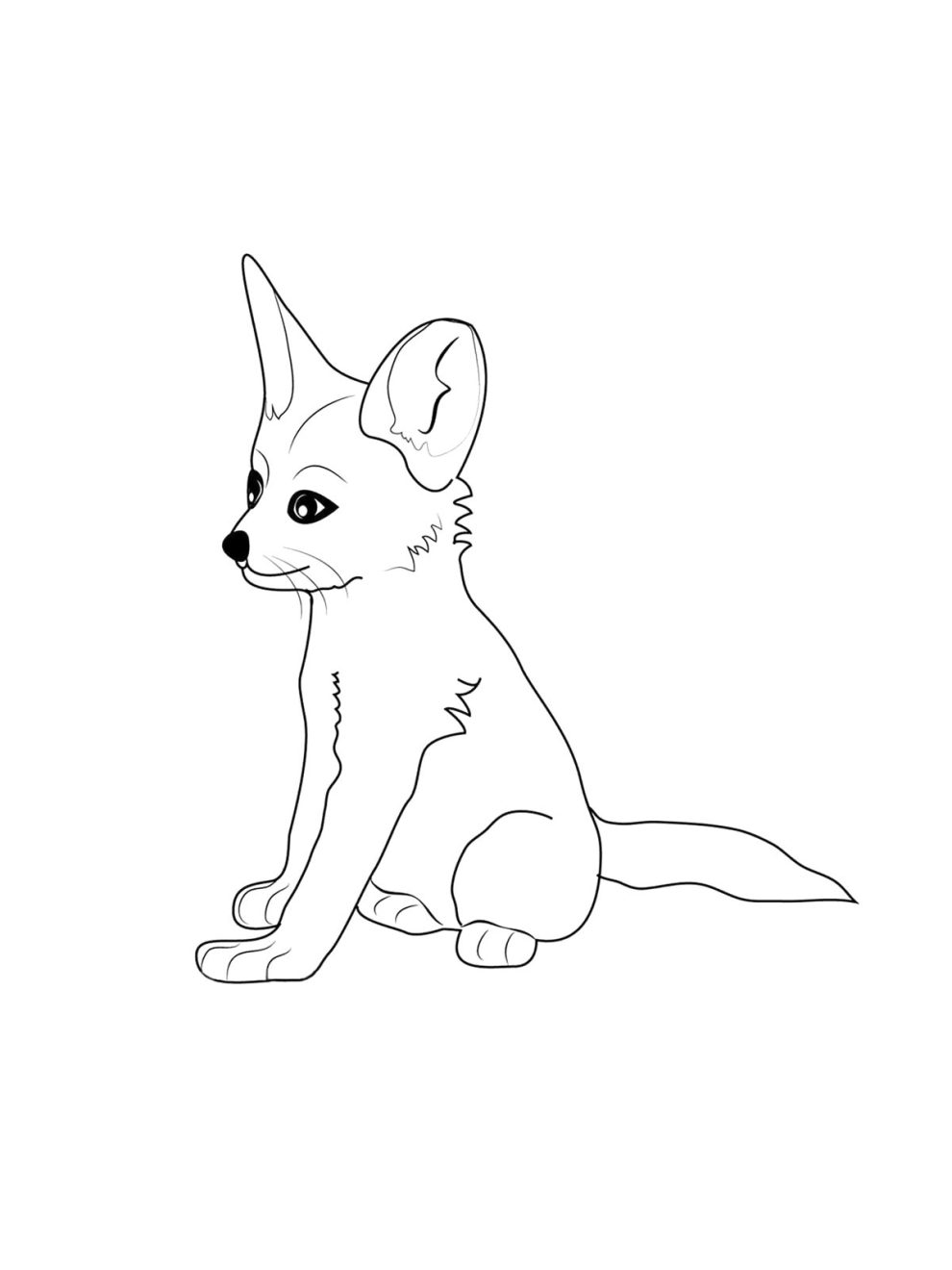 Fennec Fox coloring pages