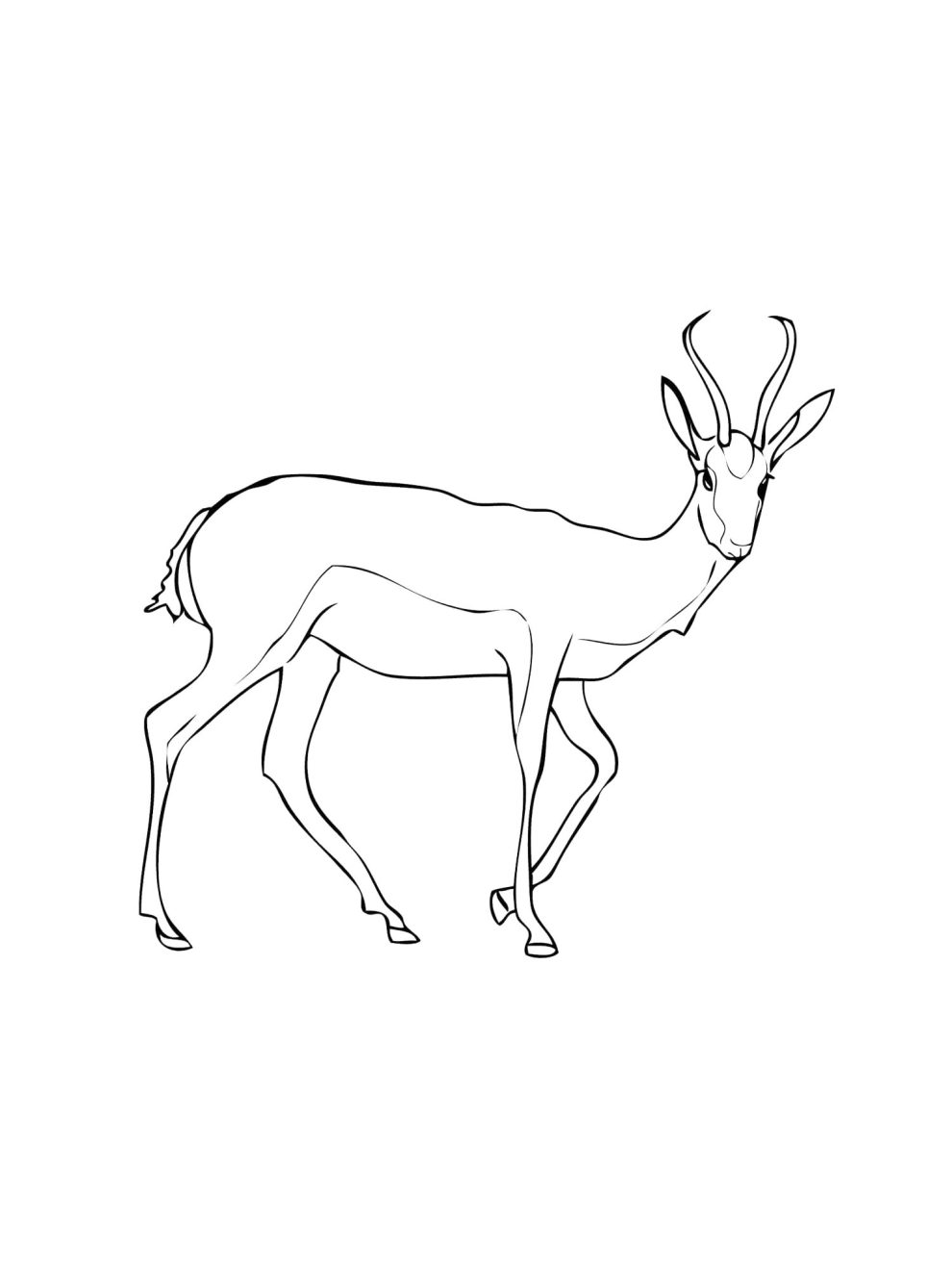 Gazelle coloring pages