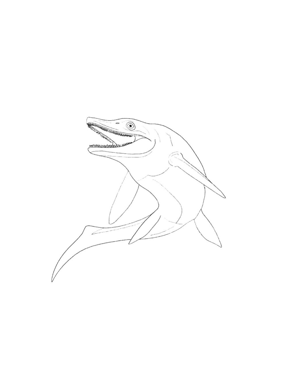 Ichthyosaur coloring pages