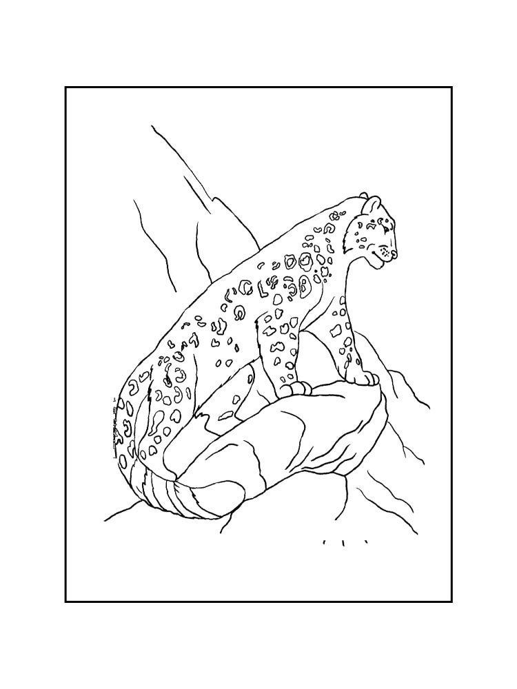 Irbis coloring pages