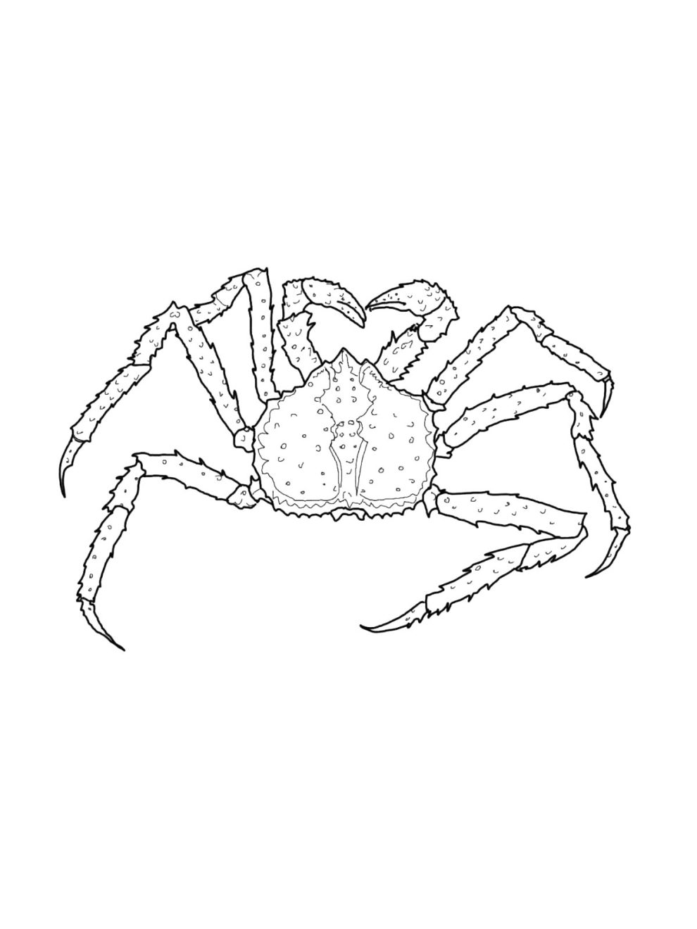 King Crab coloring pages