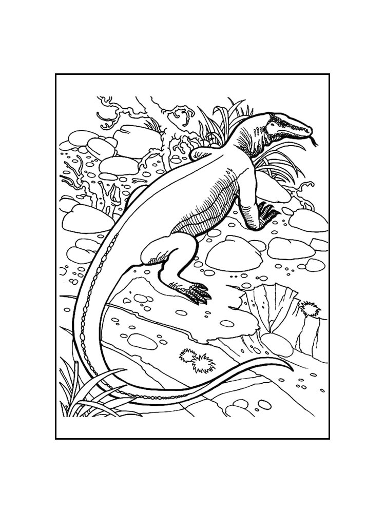 Komodo Dragon coloring pages