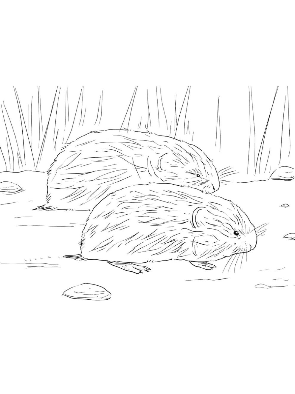 Lemming coloring pages